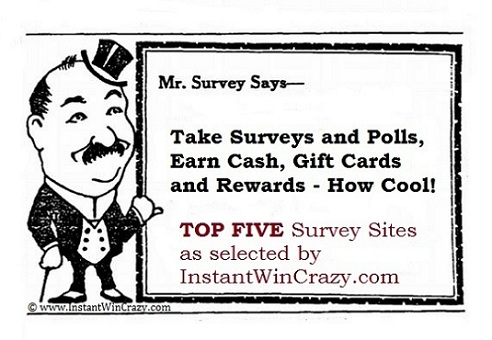 Top Five Paid Survey Sites Online